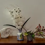The Garden Villa -1 Bhk Home At Vagator By Goaround Homes